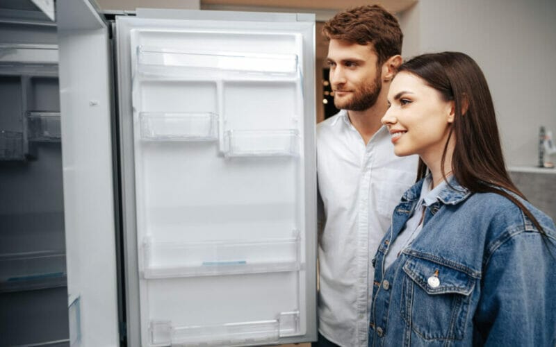 Cum sa alegi modelul de frigider perfect?