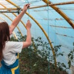 Folia termica profesionala pentru solarii: o investitie valoroasa pentru agricultura