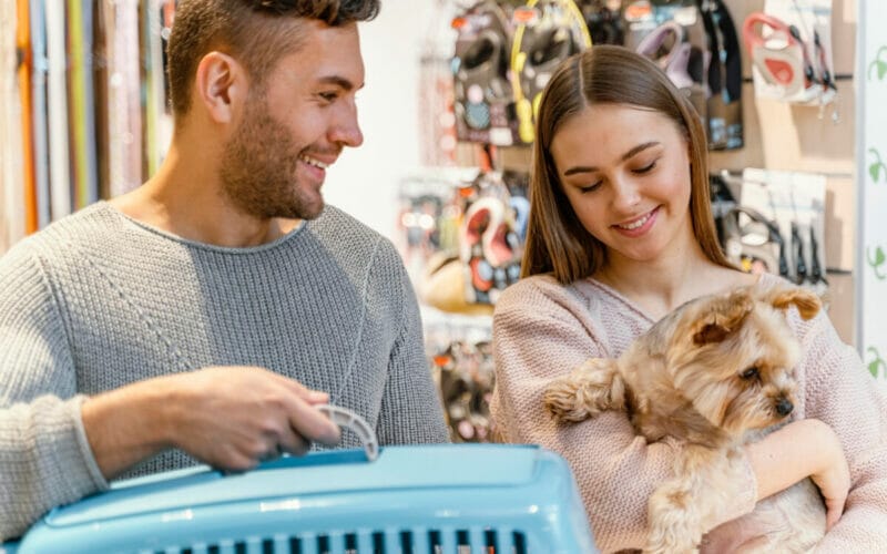 Magazinele Petshop – Un rai pentru orice iubitor de animale de companie