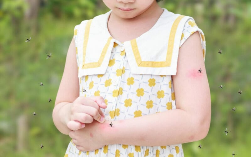 Ce pericole prezinta tantarii?