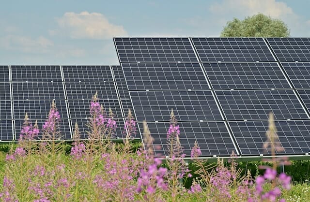Care panouri fotovoltaice sunt mai performante - Monocristalinele sau policristalinele?