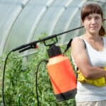 Ce este agricultura si cum se folosesc insecticidele?