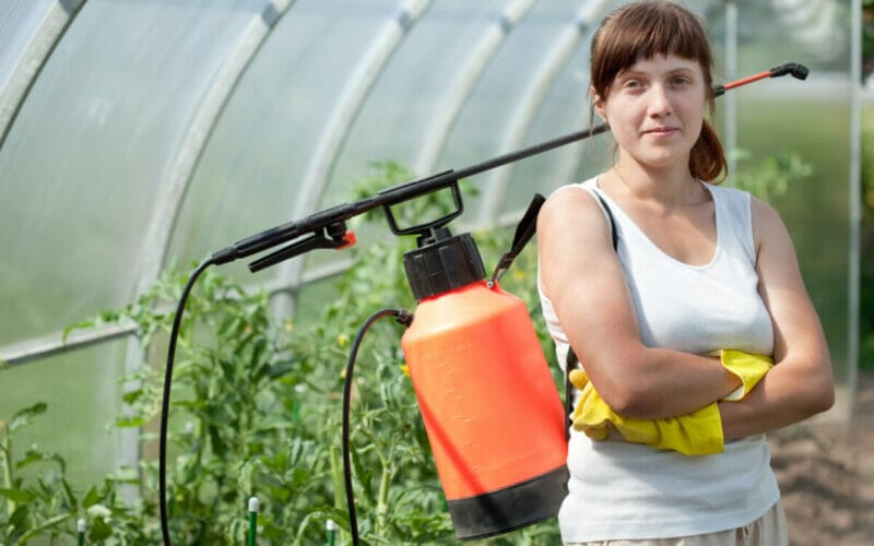 Ce este agricultura si cum se folosesc insecticidele?