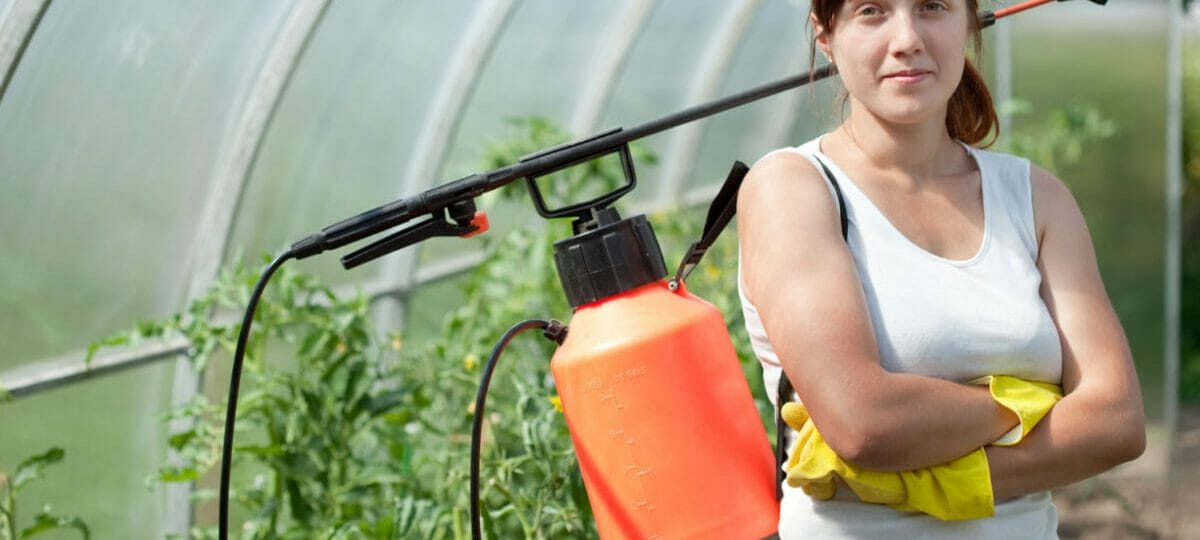 Ce este agricultura si cum se folosesc insecticidele?
