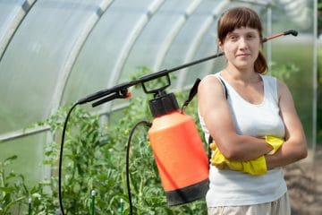Ce este agricultura si cum se folosesc insecticidele?