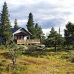 Savurează natura la maxim: Ghidul esențial pentru construirea unei cabane în pădure