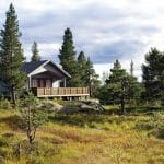 Savurează natura la maxim: Ghidul esențial pentru construirea unei cabane în pădure