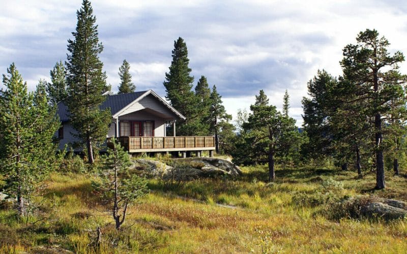 Savurează natura la maxim: Ghidul esențial pentru construirea unei cabane în pădure