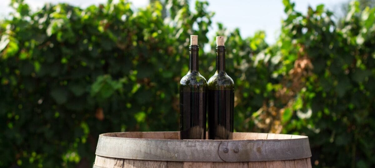 Totul despre Feteasca Neagră – un vin roșu autohton cu tradiție