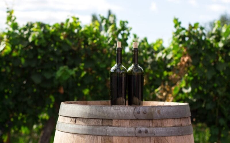 Totul despre Feteasca Neagră – un vin roșu autohton cu tradiție