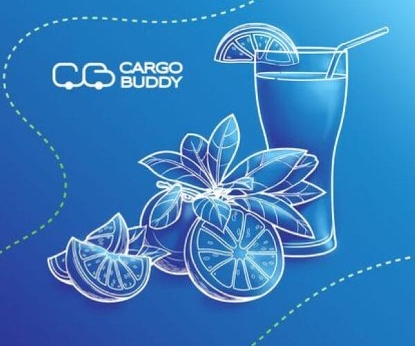 Cargo Buddy: Servicii personalizate pentru nevoile unice ale afacerii tale