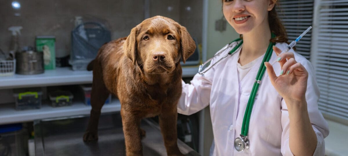 Vetexpert BioProtect -recomandat de medicii veterinari