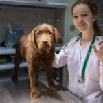 Vetexpert BioProtect -recomandat de medicii veterinari