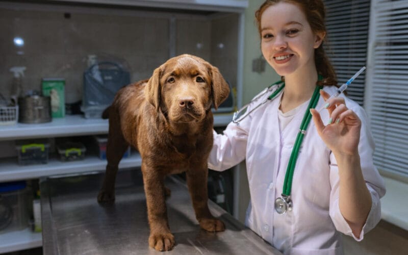 Vetexpert BioProtect -recomandat de medicii veterinari