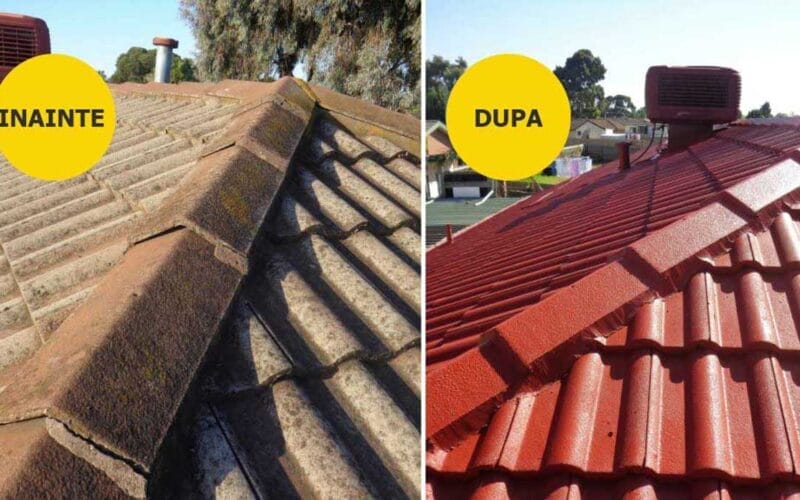 Dachdecker Service: Specialiștii în Vospire de Acoperișe