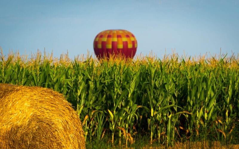 Fascinanta călătorie a zborului cu balonul cu aer ald în România