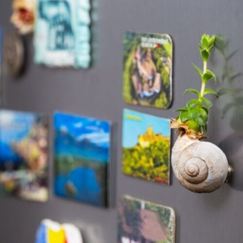 Creează-ți instant proprii magneți foto de frigider folosind o folie magnetică!