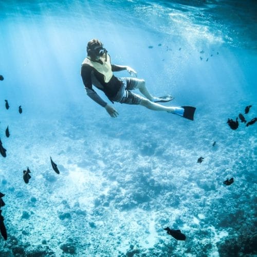 Snorkeling și scufundări în Marea Roșie – cele mai bune locuri din Egipt