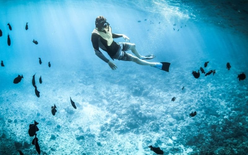 Snorkeling și scufundări în Marea Roșie – cele mai bune locuri din Egipt