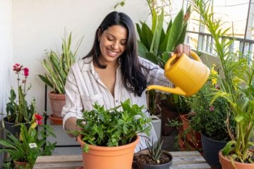 Grădină pe balcon: ce legume poți cultiva ușor în ghiveci