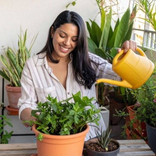 Grădină pe balcon: ce legume poți cultiva ușor în ghiveci
