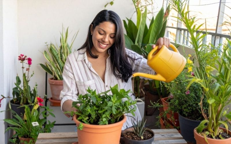 Grădină pe balcon: ce legume poți cultiva ușor în ghiveci