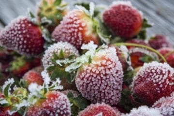 Cum să congelezi corect fructele de pădure fără să se lipească între ele?
